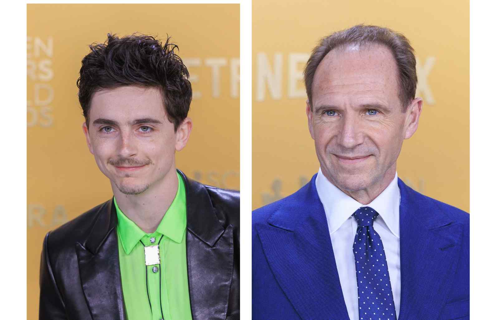 timothee chalamet si ralph fiennes